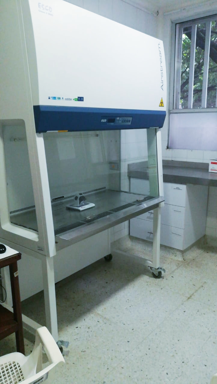 microbiologia1