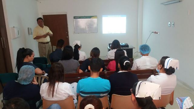 accidentes animales1