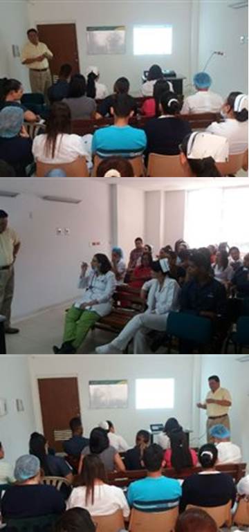 accidentes animales2